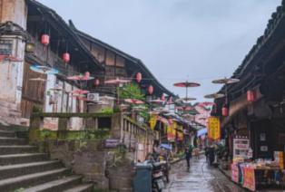 空闲农场